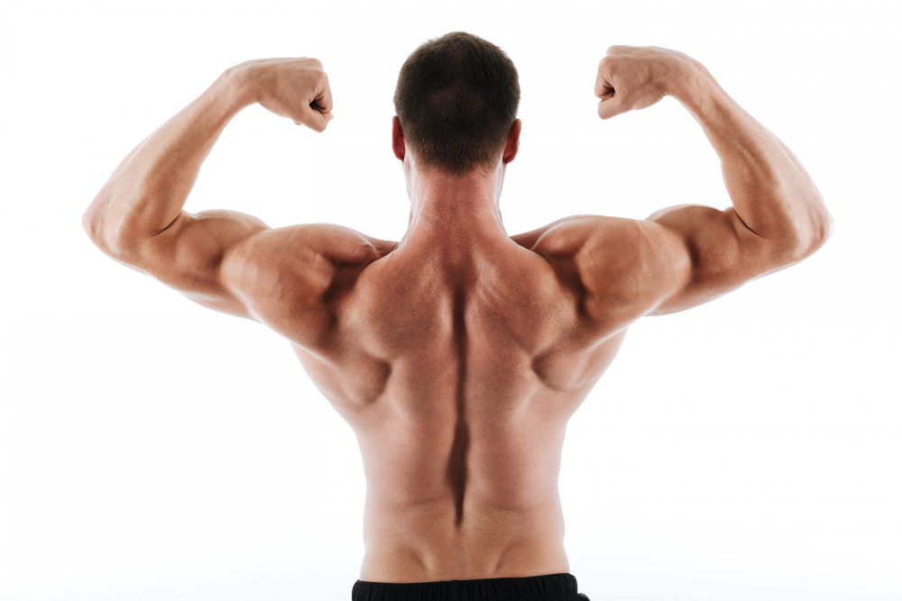 Care sunt diferențele dintre masa musculară la bărbați și la femei